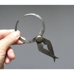 19th Century Erotic Corporation Compass. Cabinet Of Curiosities.