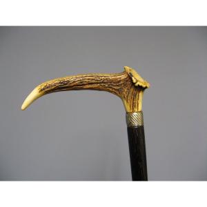 Cane With Knob In Deer Antler.