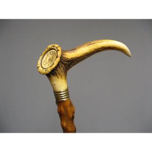 Cane With Knob In Deer Antler.