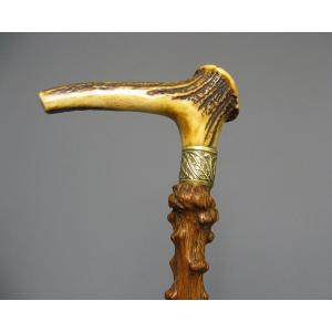 Cane With Knob In Deer Antler.