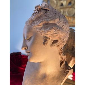 Terracotta Bust