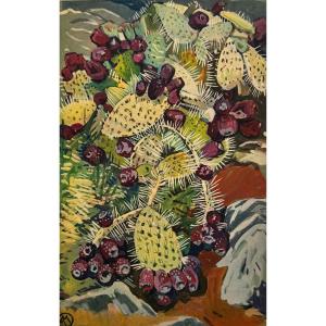 Figuier De Barbarie. La Plante Exotique. 1931