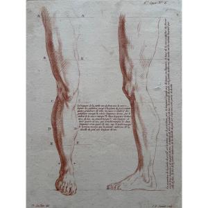 Leg Study. C.1773