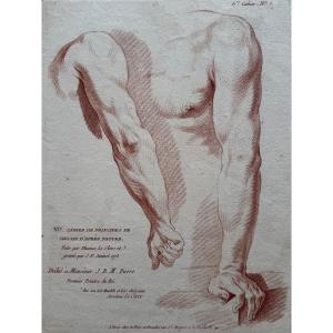 Study Of An Arm. C.1773