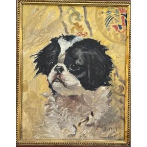 Portrait Of A Japanese Dog 