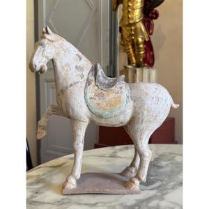 Polychrome Terracotta Horse - China - Tang Period