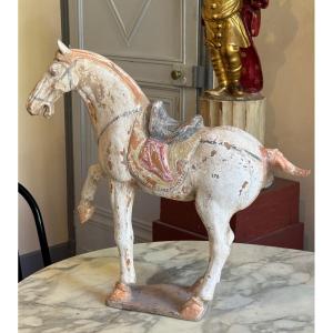 Polychrome Terracotta Horse - China - Tang Period