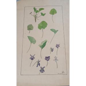 Watercolor Drawing By The Artist Edmond Alet, Art Nouveau Period Circa 1900