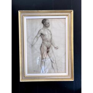 Academic Drawing From The Late 19th Century – Male Anatomical Study Signed R. Vercru.
