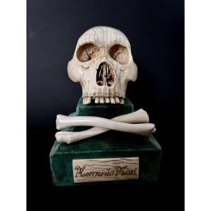 Carved Ivory “memento Mori” Skull – Spain  19th Century – With Eu Cites Permit