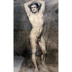 Large Academic Drawing – Study Of A Male Nude