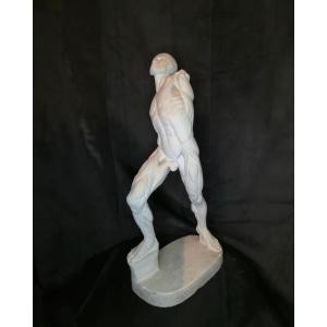 Anatomical Flayed Figure – Early 20th Century