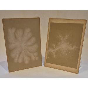 Two Photographs Of Electricity - Circa 1890