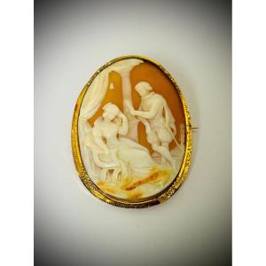Cameo Brooch On Shell