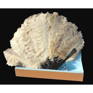 Large Ball Fan In Ostrich Feathers & Tortoise Shell 19th Century Paris Templar Fan