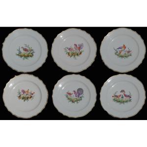 Series Of Six Lille Porcelain Plates, Manufacture Au Dauphin, 18th Century Bird Decor