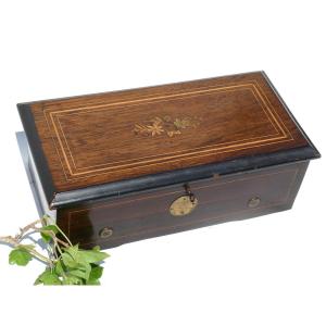 Napoleon III Period Living Room Music Box / Case, Weiser And Neuman Paris Gavioli