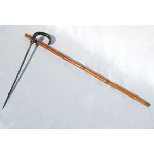 Defense Cane, 19th Century Sword, System Model, 1900s Period, Art Nouveau Style, Curiosities