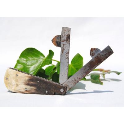 Flame With Bleeding Veterinary Napoleon III Period Medicine Curiosity Nineteenth Horn Knife