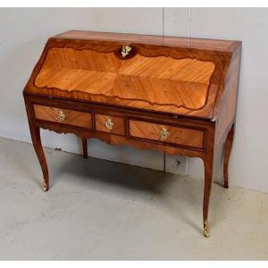 Sloping Desk In Mahogany And Rosewood, Regency Period - Louis XV - XVIIIth