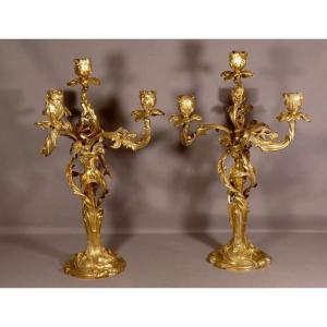 Pair Of Louis XV Rocaille Candlesticks In Gilt Bronze, XIXth Time