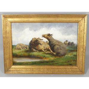 The Sheep, Small Oil Painting On Wood, Early 20th Century