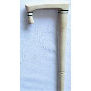 Nineteenth Cane In Dromedary Bone
