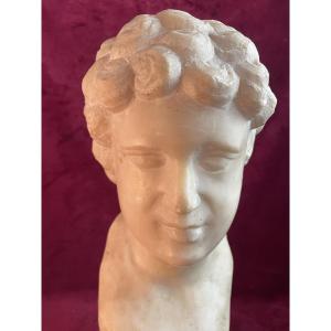 Antinous Face In Carrara Marble