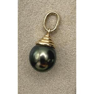 Pendant In Yellow Gold Tahitian Pearl