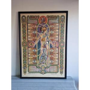 Original Micro Cosmos Esoteric Poster By Giovanni Tavaglione 1982