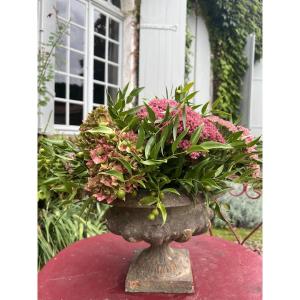 Medici Basin In Cast Iron, With Gadroon. Antique