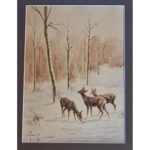 Deer In The Snow - François Girot - 1873-1916