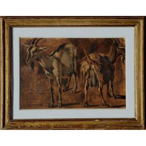 Italian School Of The 17th Century : “goat Studies”