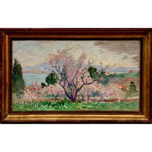 Horace Richebe : "spring In Sanary"