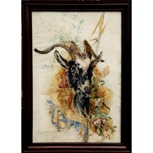 Charles Toche : "very Large Watercolor The Goat 1882"