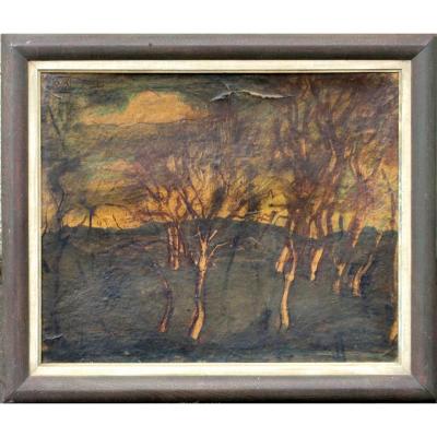 Om 1904 : "the Forest Denudee"