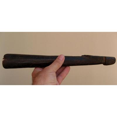 Olifant In African Wood
