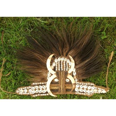 Important Papuanian / New Guinea Headdress