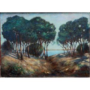 Elie Henri Dumont : "edge Of A Pond In The Landes"