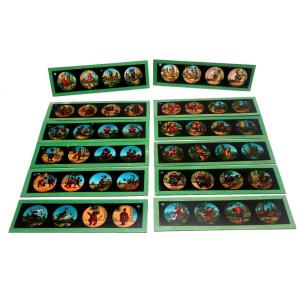 Set Of 12 Plates For Magic Lantern
