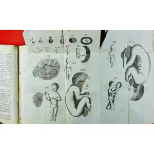 Dinouart - Compendium Of Sacred Embryology. Chez Nyon, 1766. Contemporary Binding.