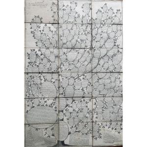 [genealogy] - Roth - Essay On A Genealogical Distribution Of The Sciences And Arts. 1769.