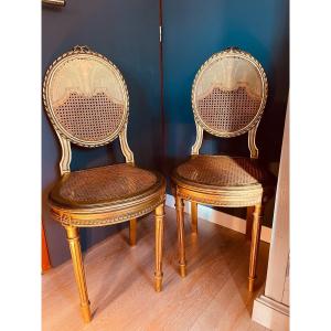 Pair Of Cane Medallion Chairs Louis XVI Style