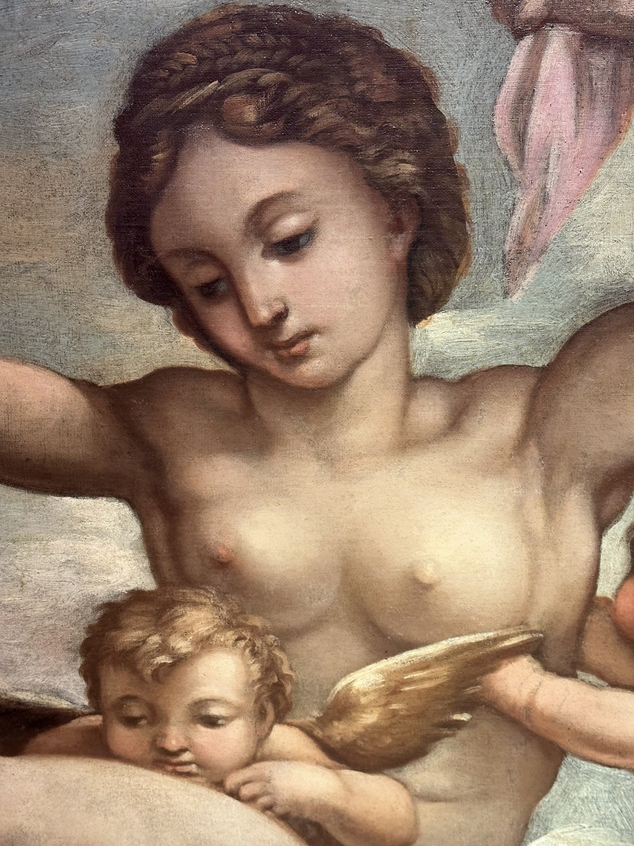 Dipinto Trionfo di Galatea-photo-2