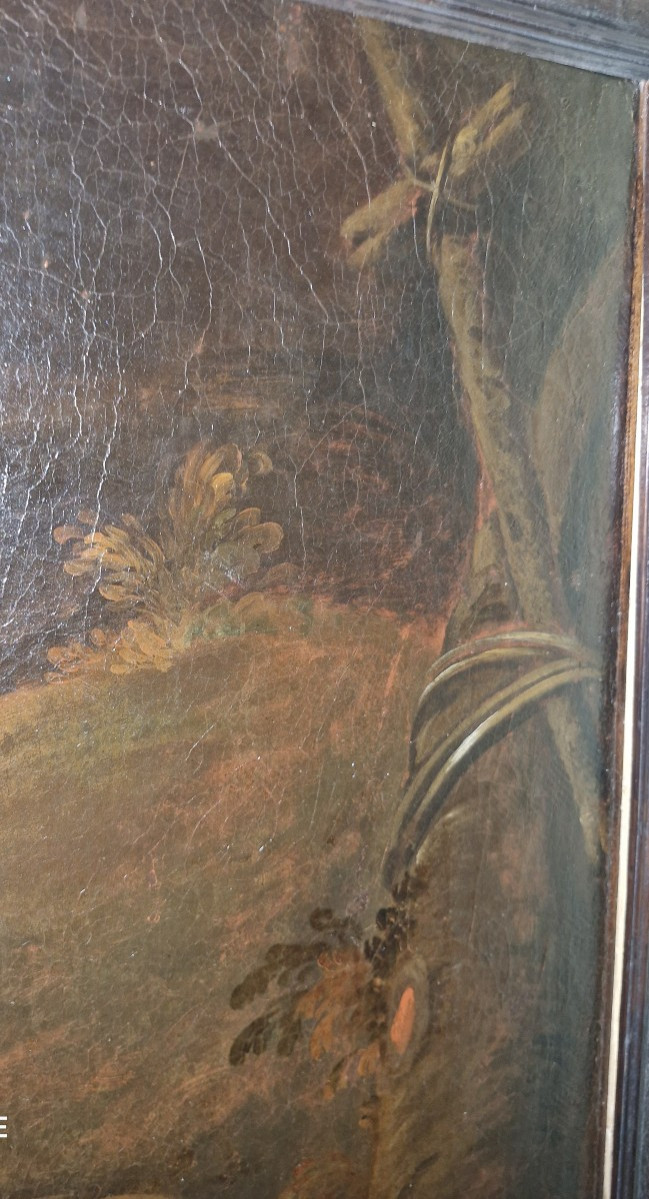 SAN GEROLAMO-photo-1