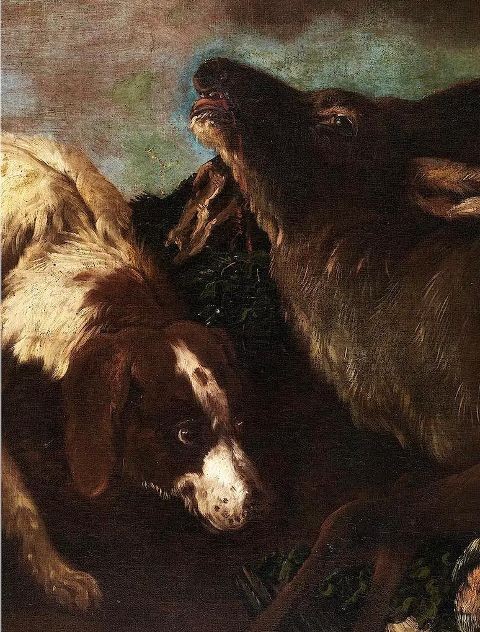 Cani da caccia e Cervo-photo-3