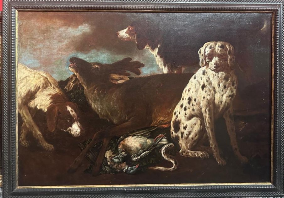 Cani da caccia e Cervo