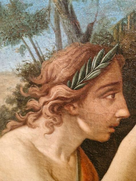 APOLLO E MARSIA-photo-4