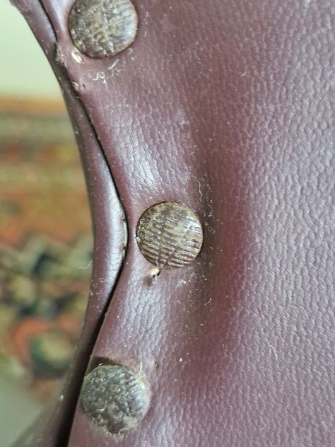 DIVANETTO ANNI 1940 PRODUZIONE I.S.A BERGAMO ( GIO PONTI ?)-photo-8