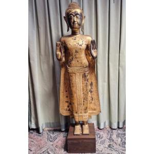 Buddha in bronzo dorato alt 157